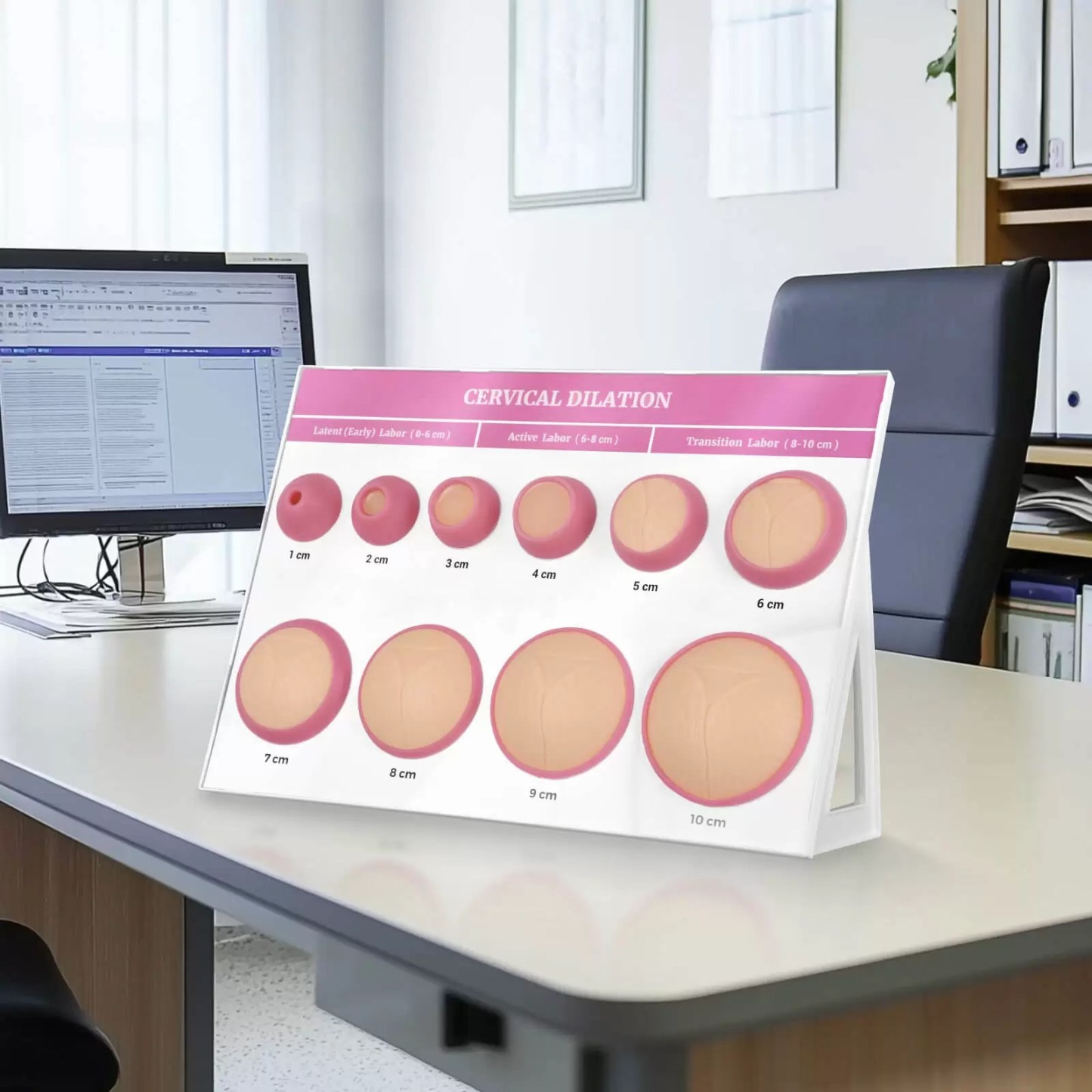 Cervical Dilation Model 1-10cm with Display Base for Midwifery & Obstetrics Education