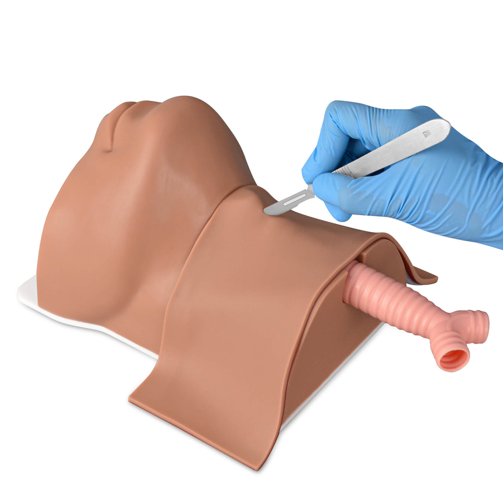 Cricothyrotomy and Tracheostomy Trainer Medium Skin