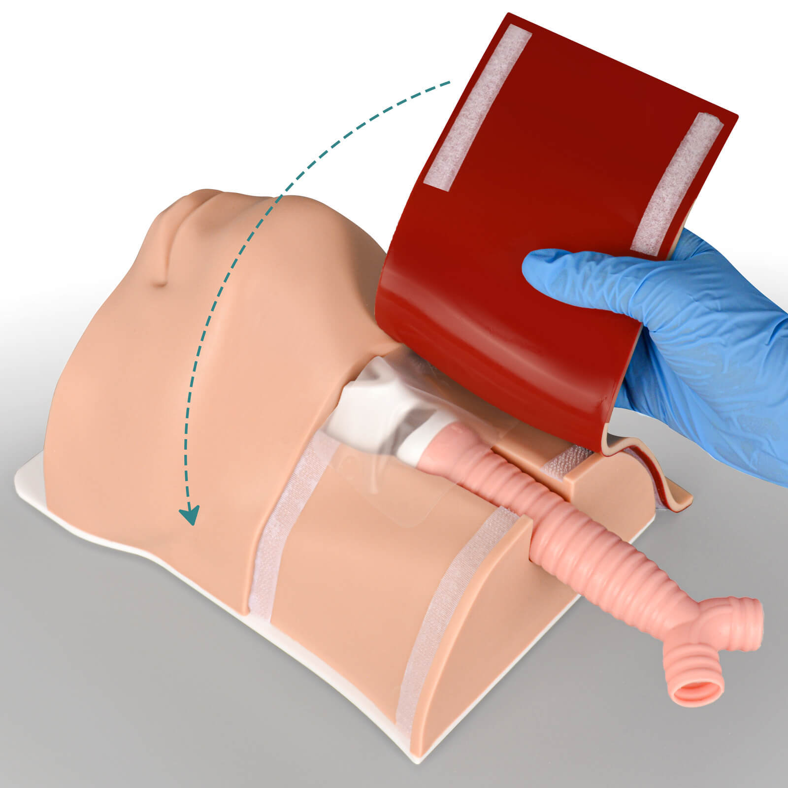 cricothyrotomy simulator