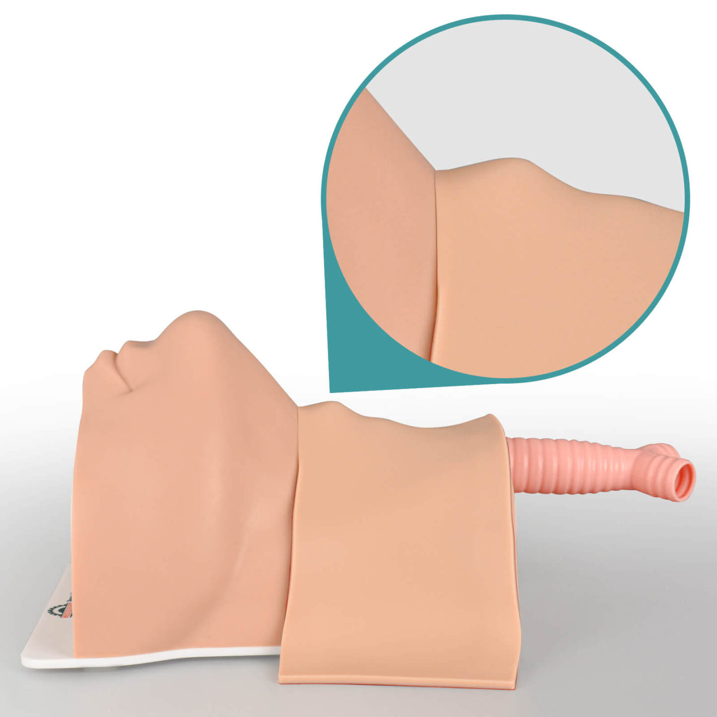 cricothyrotomy simulator detailed structure