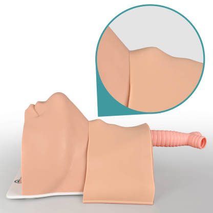 cricothyrotomy simulator detailed structure