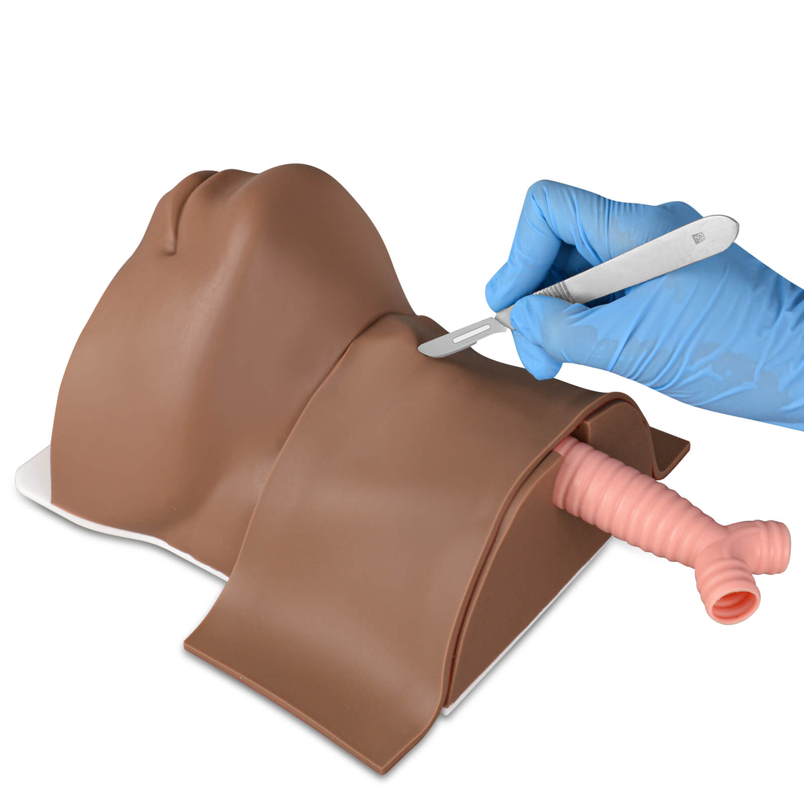 Cricothyrotomy & Tracheostomy Trainer "Frankfurt" – UK