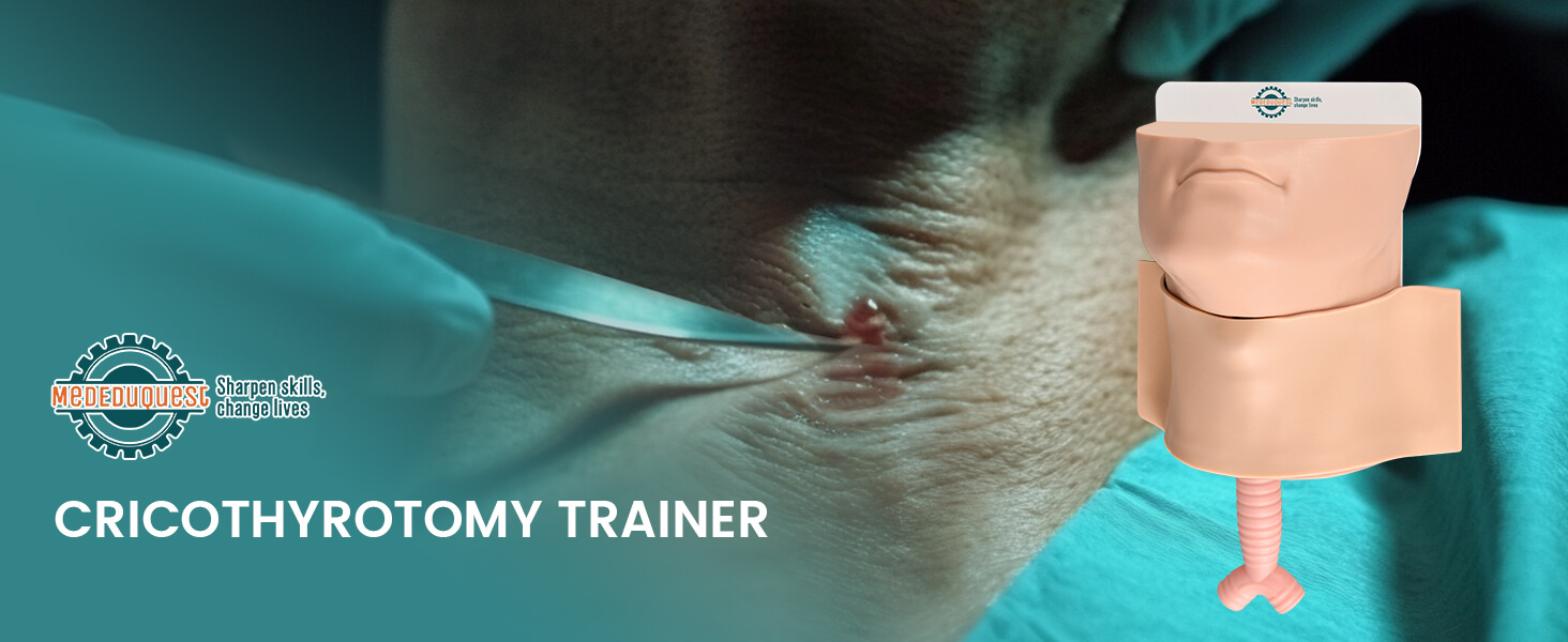 Deluxe Cricothyrotomy Task Trainer - 3 Skin Tones Available