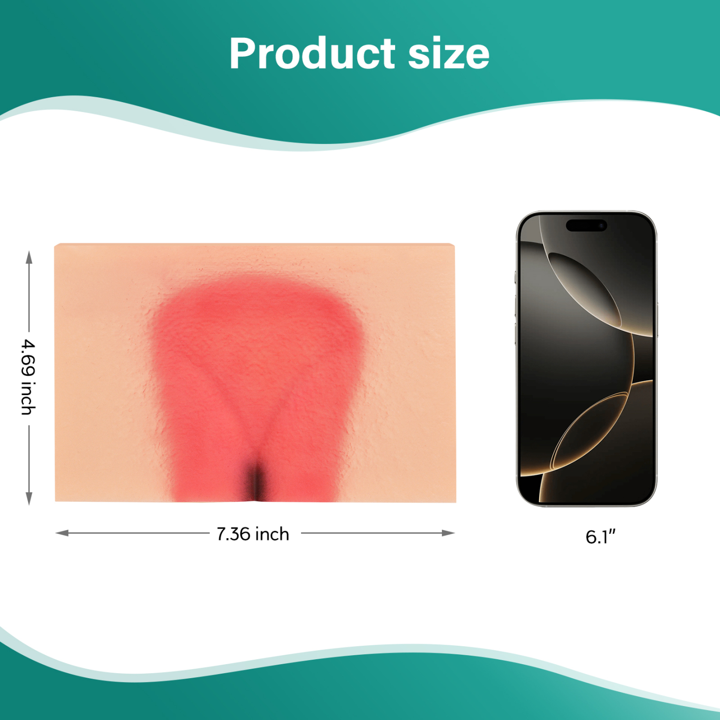 MedEduQuest Decubitus Ulcer Wound Care Model, Stage 1 to 4