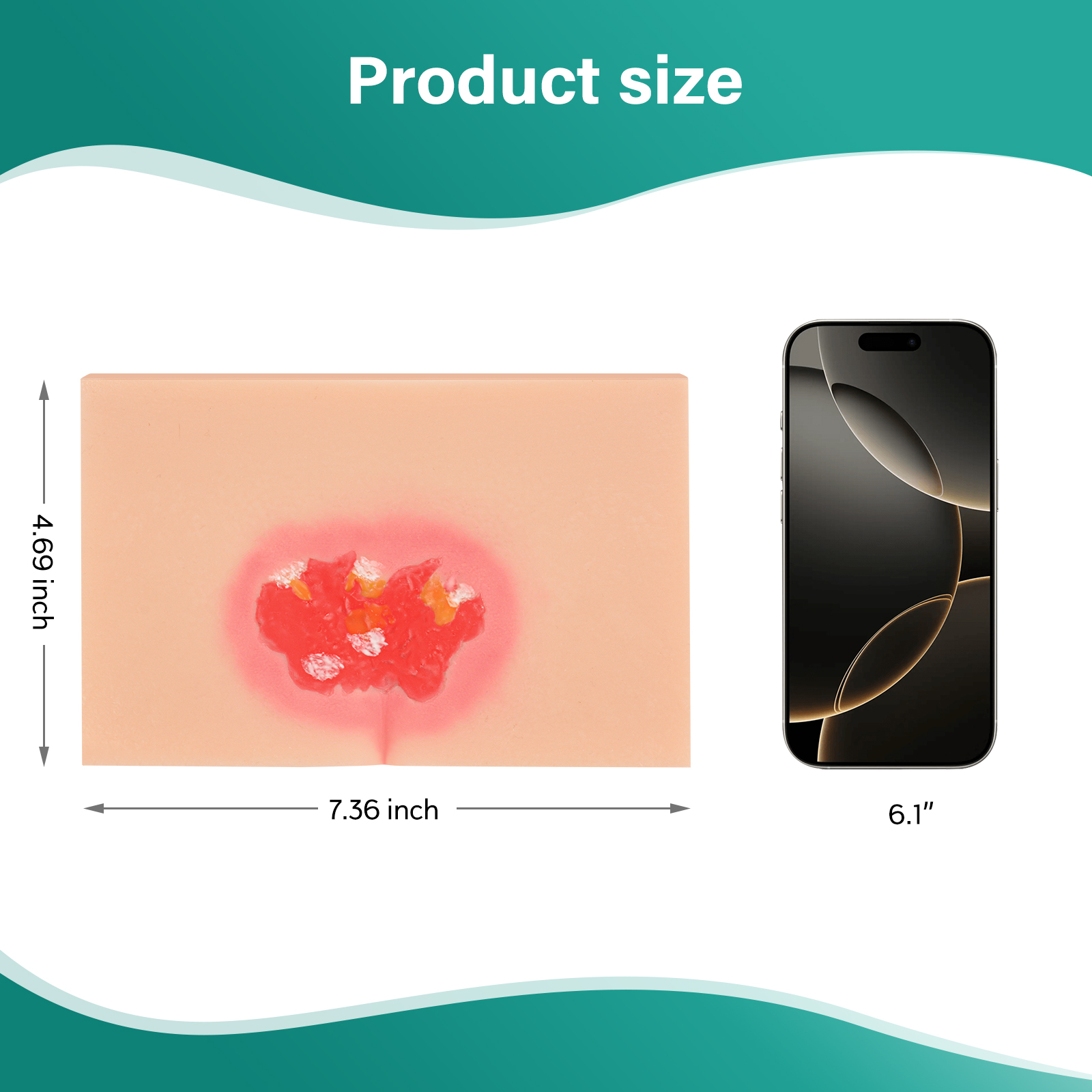MedEduQuest Decubitus Ulcer Wound Care Model, Stage 1 to 4