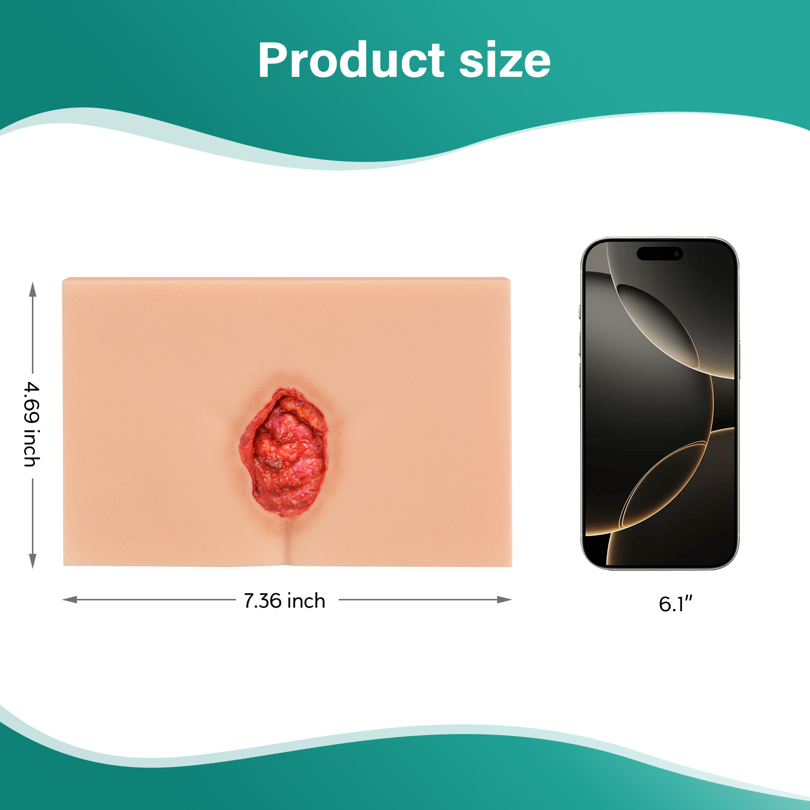 MedEduQuest Decubitus Ulcer Wound Care Model, Stage 1 to 4