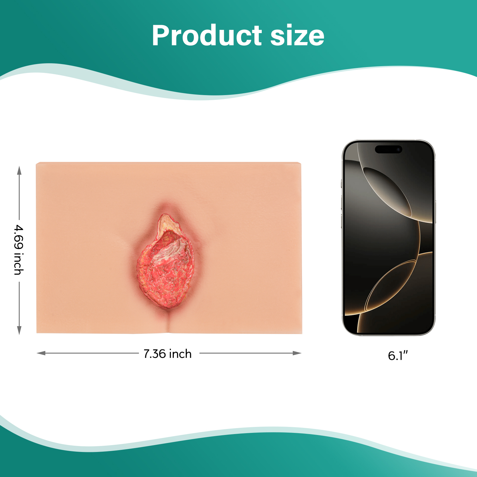 MedEduQuest Decubitus Ulcer Wound Care Model, Stage 1 to 4
