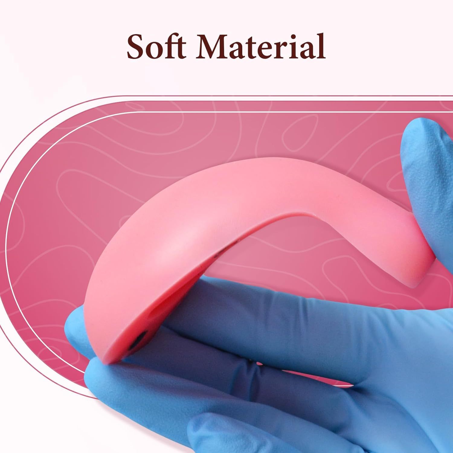 Dilation & Curettage (D&C) Uterus Model