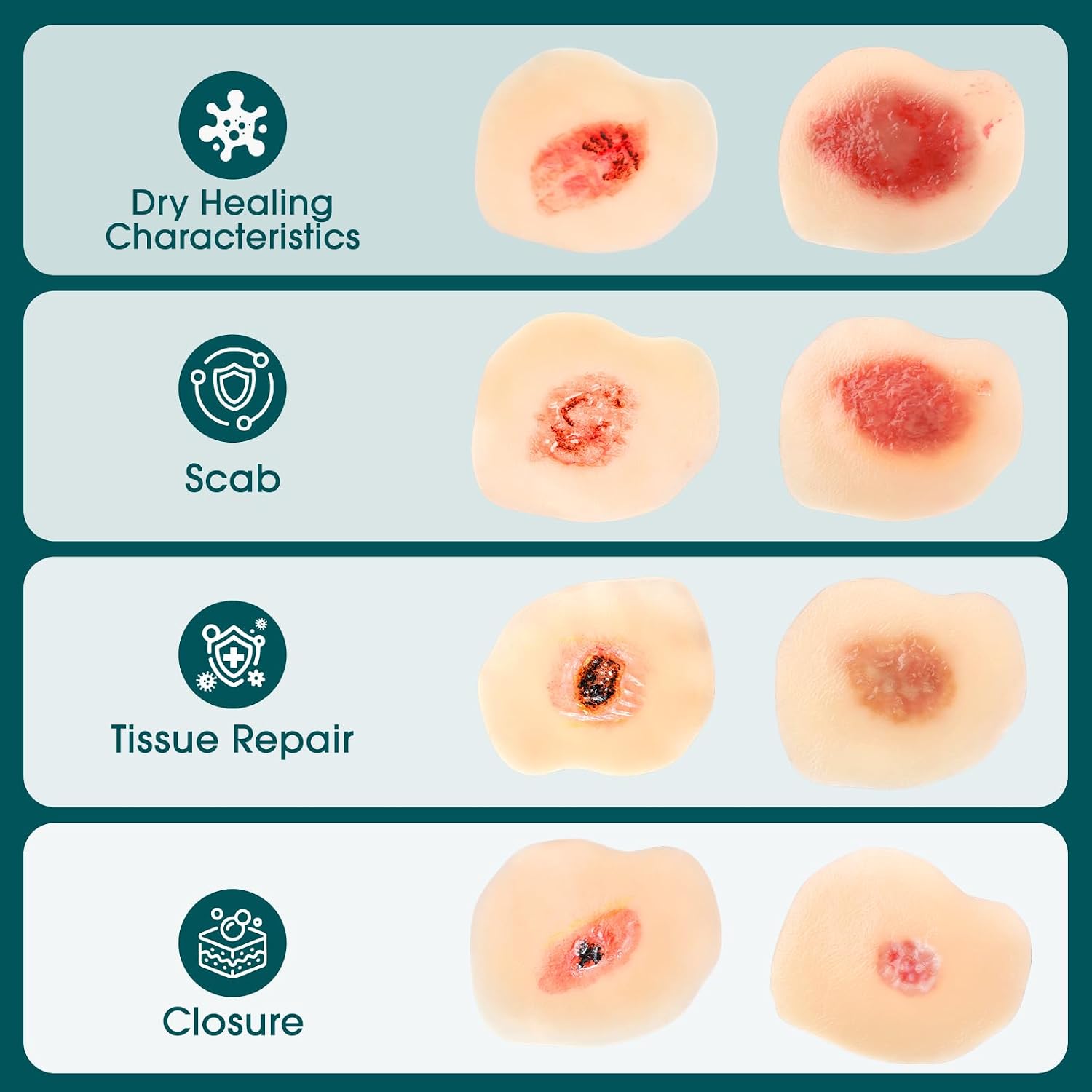 Silicone Wound Training Pads Showing Dry and Moist Wound Healing Characteristics