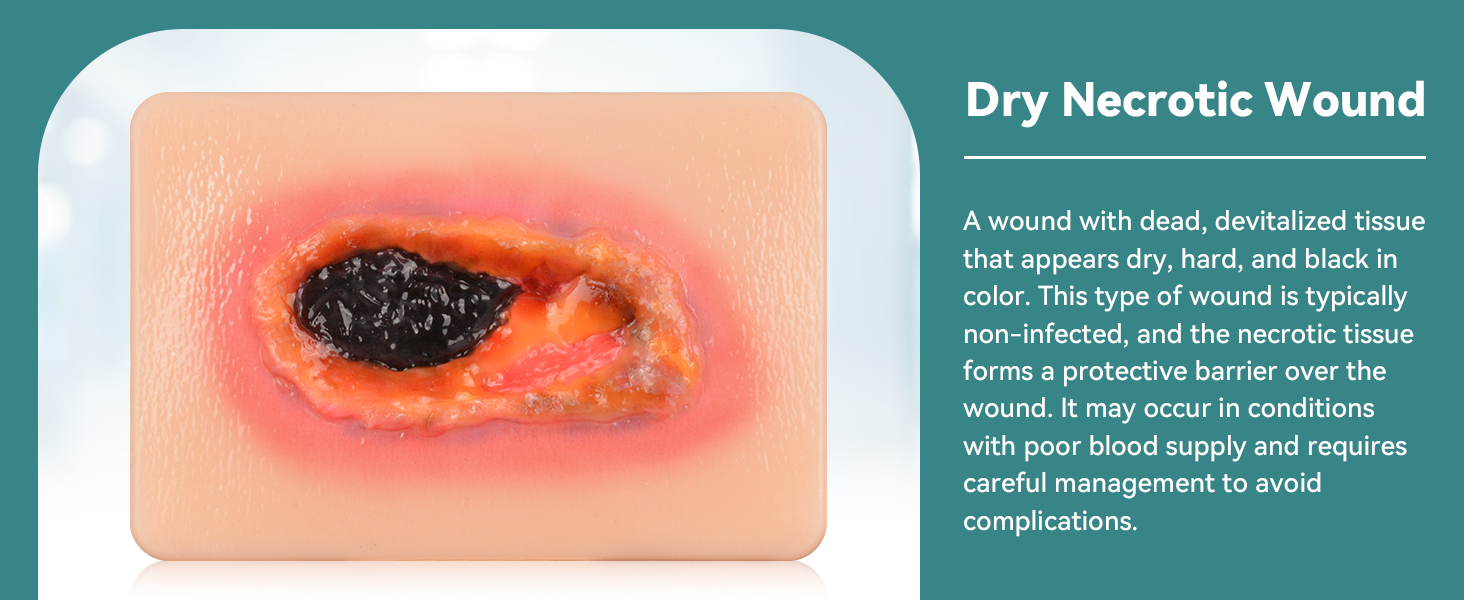 Dry Necrotic Wound Care Model
