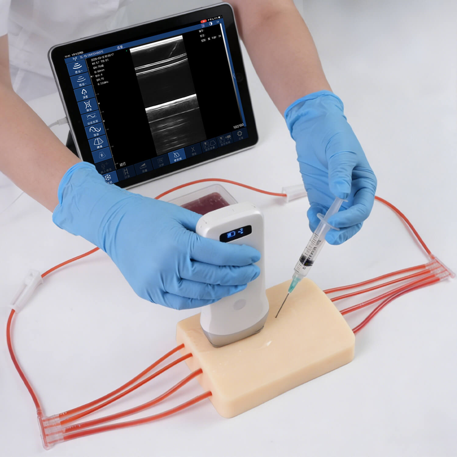 Dynamic Circulation Ultrasound Puncture Trainer