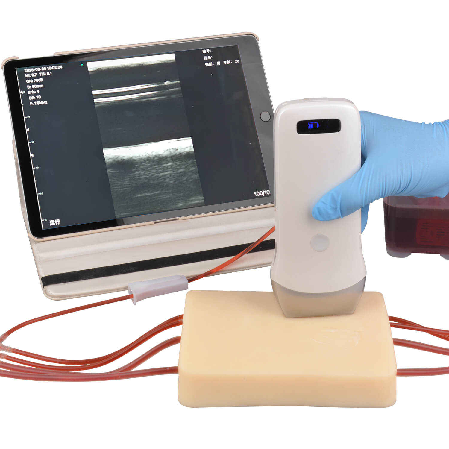 Dynamic Circulation Ultrasound Puncture Trainer