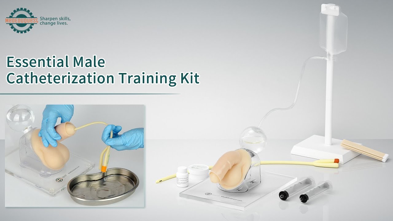 Male Urethral Catheterization Training Kit