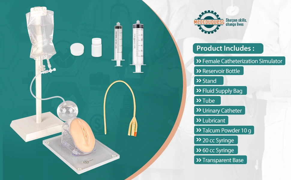 MedEduQuest Female Urinary Catheterization