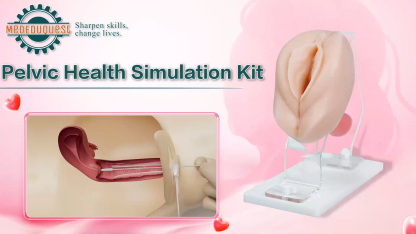 Vaginal and Pelvic Exam Training Model with Cervix and Speculum