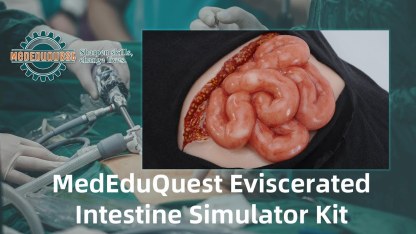Wearable Abdominal Evisceration Wound w/ Protruding Intestines