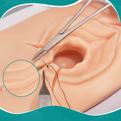 Episiotomy and Perineal Tear Repair Training Model with Multi-Incision
