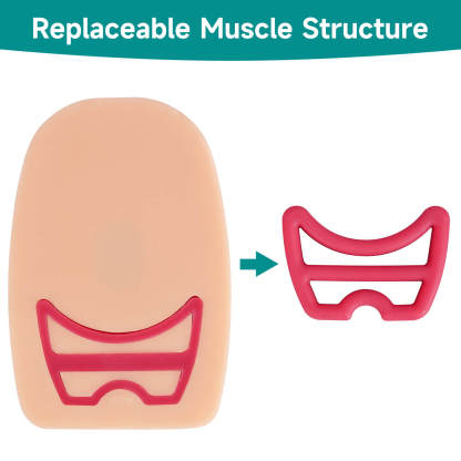 Episiotomy and Perineal Tear Repair Training Model with Multi-Incision