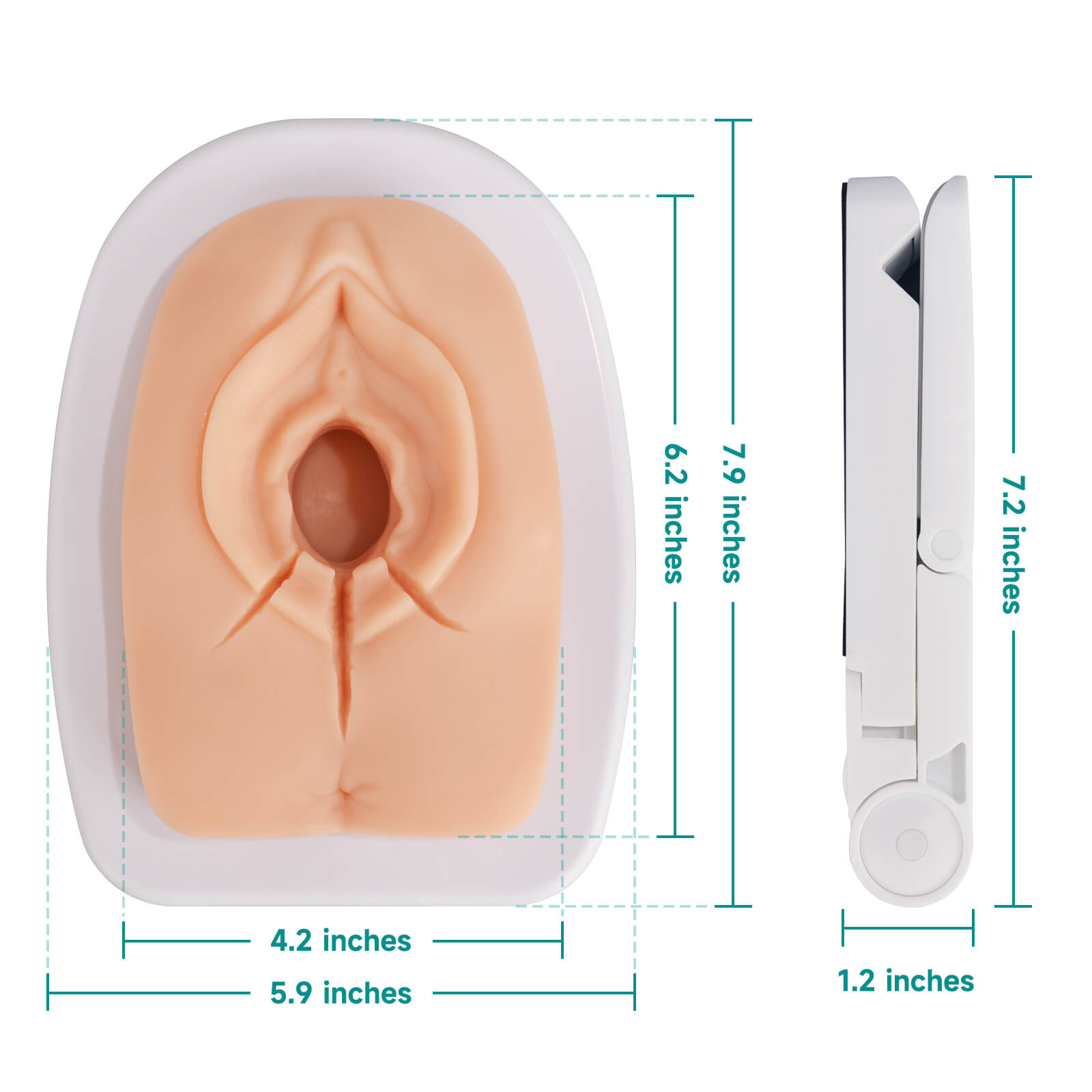 Episiotomy and Perineal Tear Repair Training Model with Multi-Incision