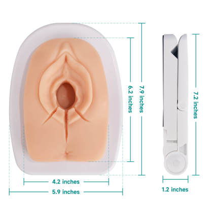 Episiotomy and Perineal Tear Repair Training Model with Multi-Incision