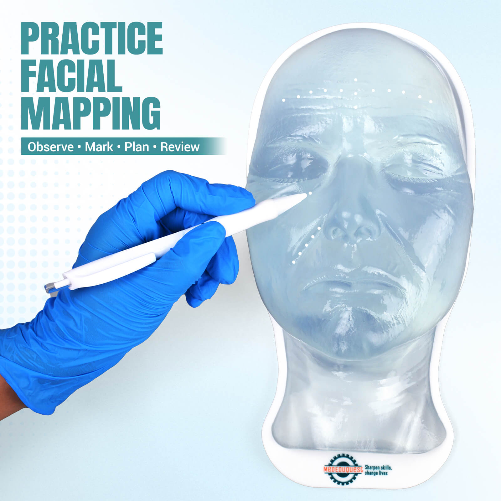 Facial Aging Injection Training Model