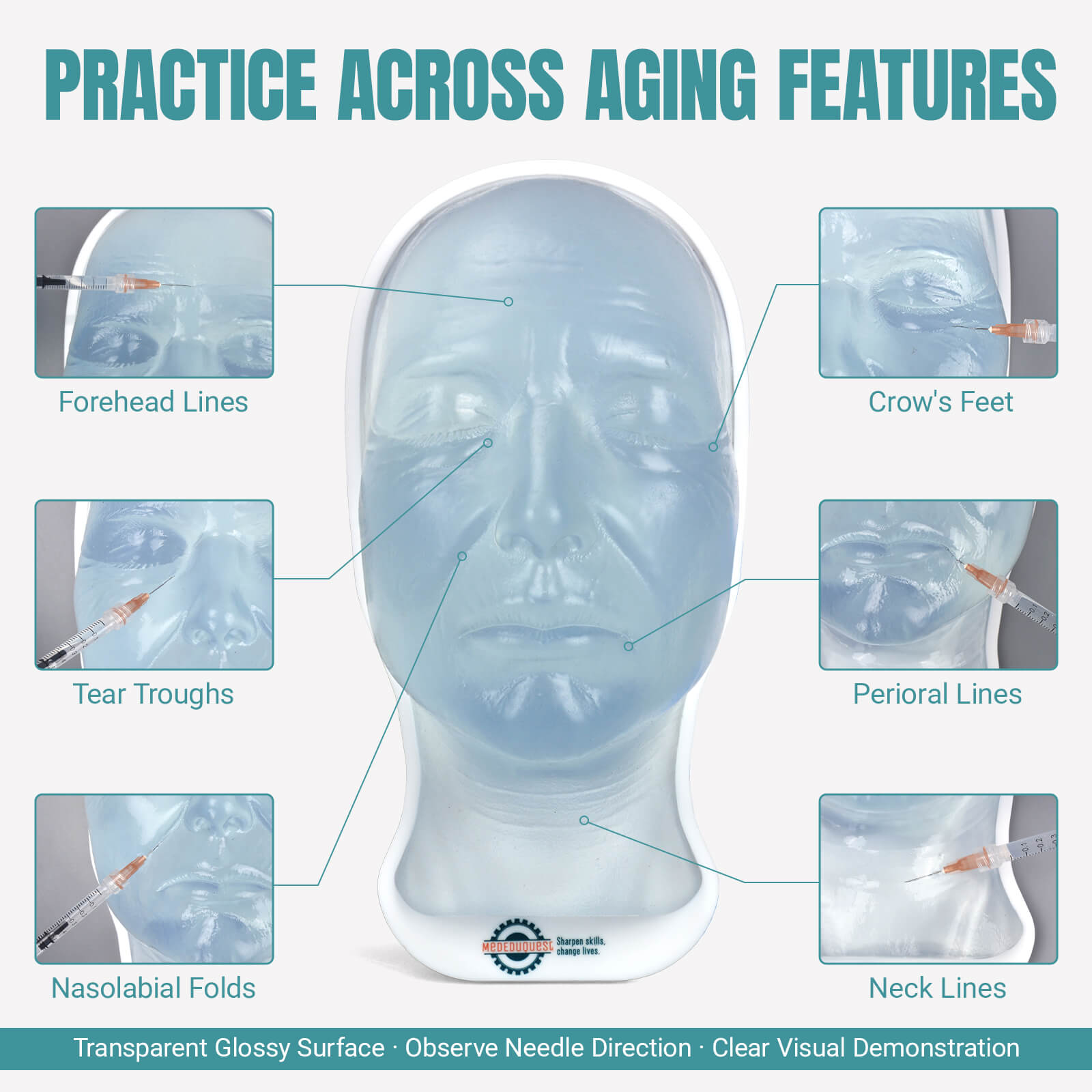 Facial Aging Injection Training Model