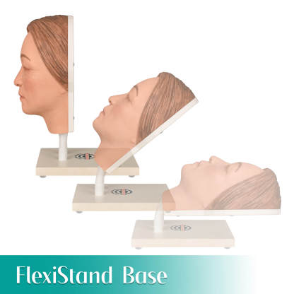 Facial Injection Manikin with Feminine Features - Nana Model