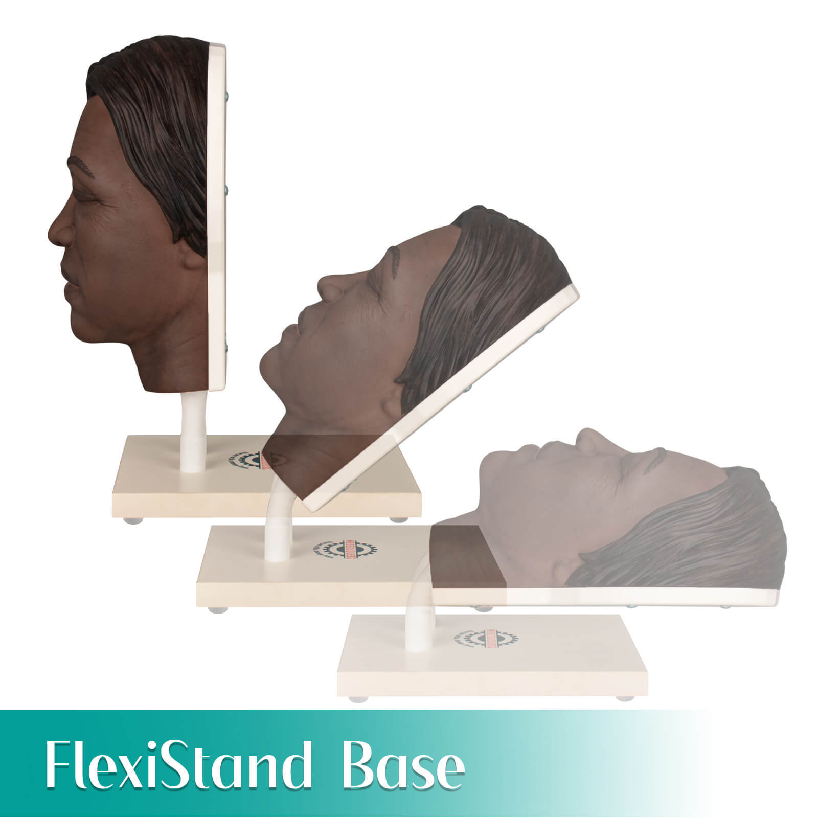 Facial Injection Training Silicone Mannequin Head with Dark Skin - Kaya Model