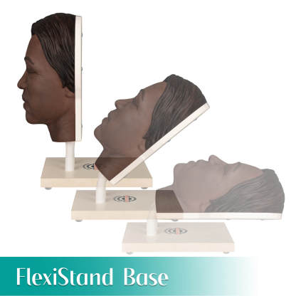 Facial Injection Training Silicone Mannequin Head with Dark Skin - Kaya Model