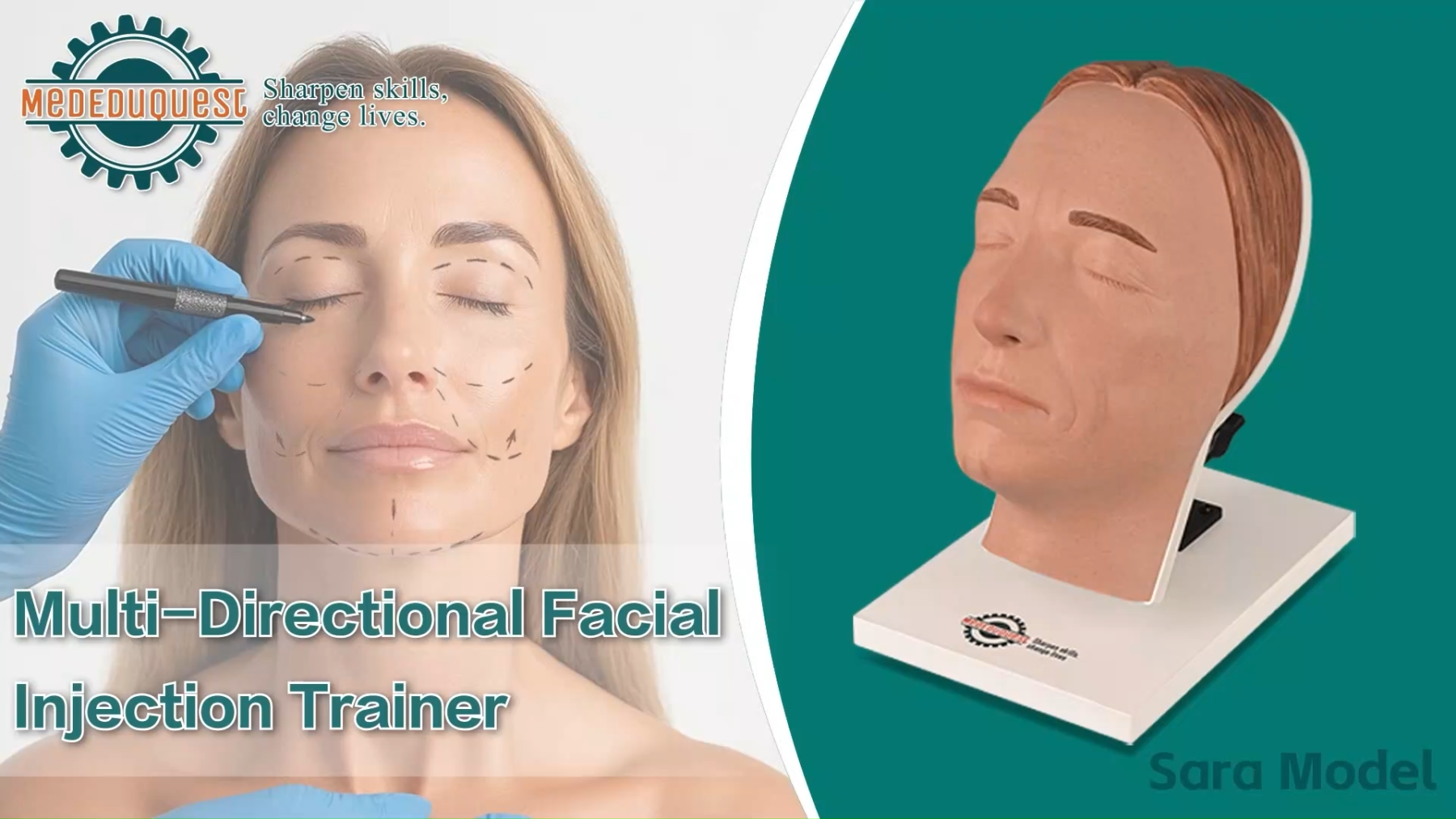 Female Facial Injection Mannequin Head - Sara Model, Multi-Directional