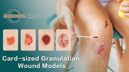 Card-sized Granulation Wound Simulation Models