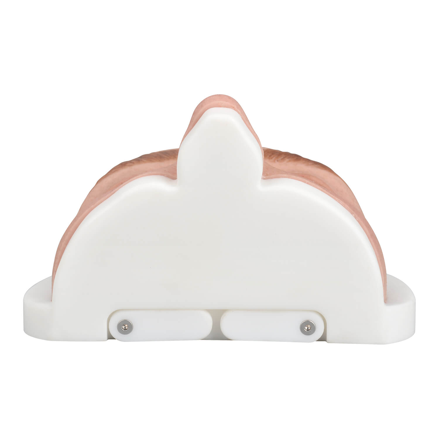 Female Upper Face Injection Training Model
