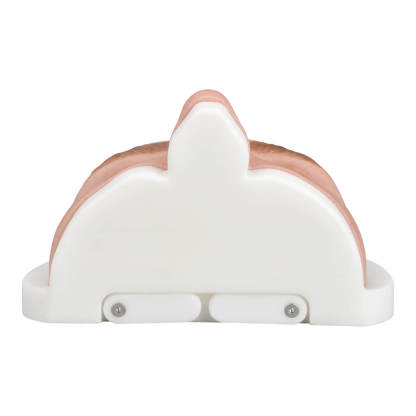 Female Upper Face Injection Training Model