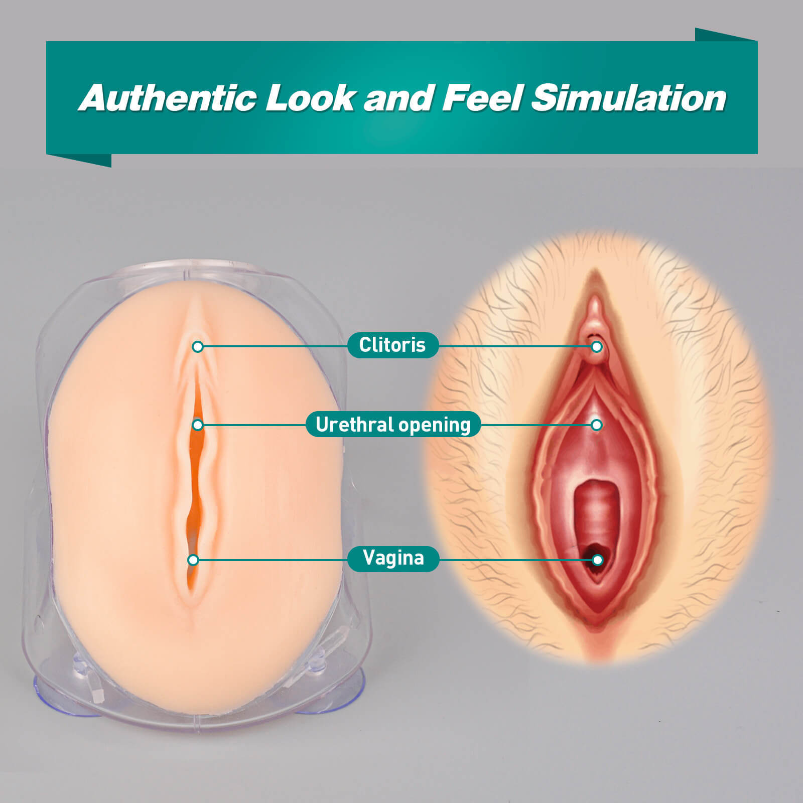 Female Urinary Catheterization Training Kit