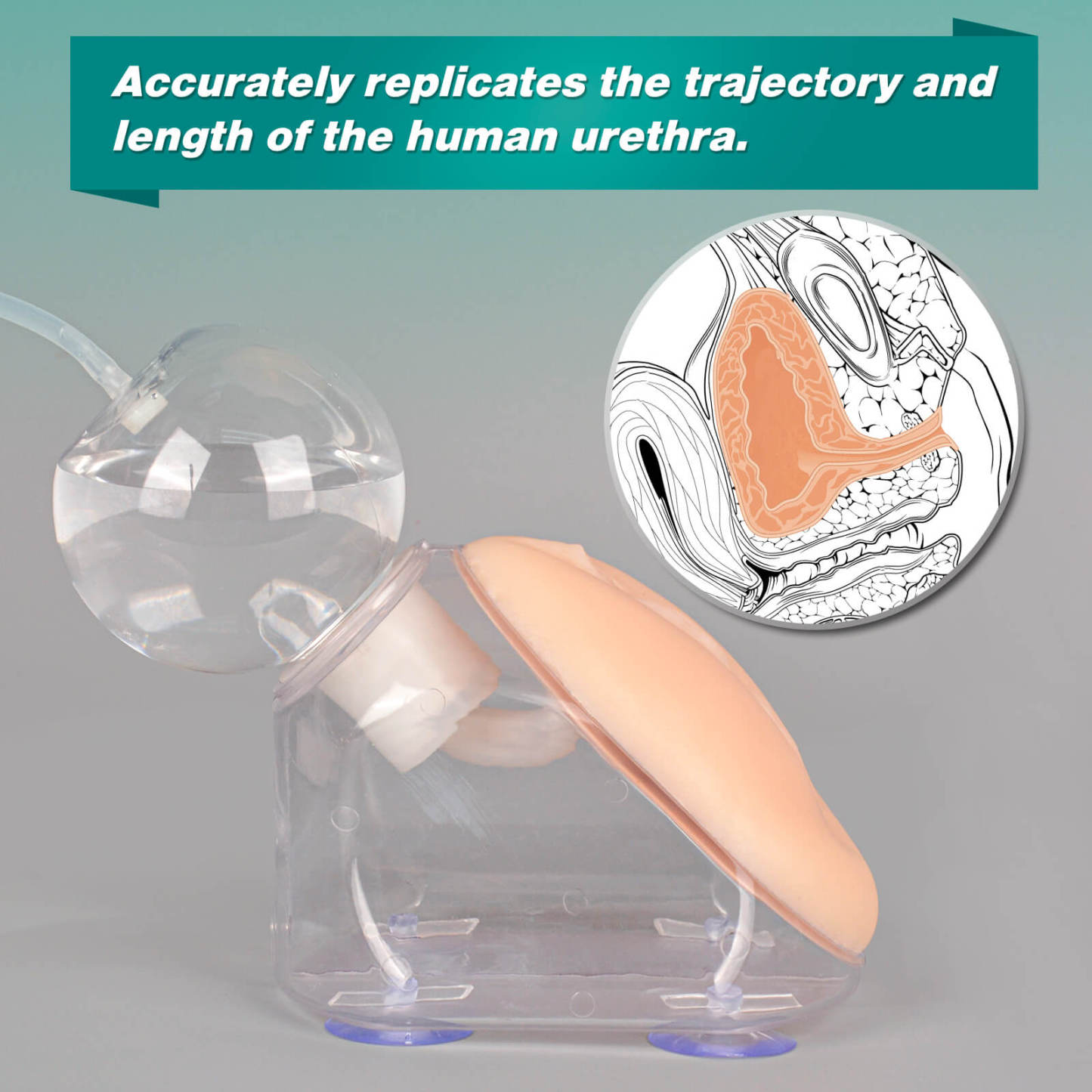 Female Urinary Catheterization Training Kit