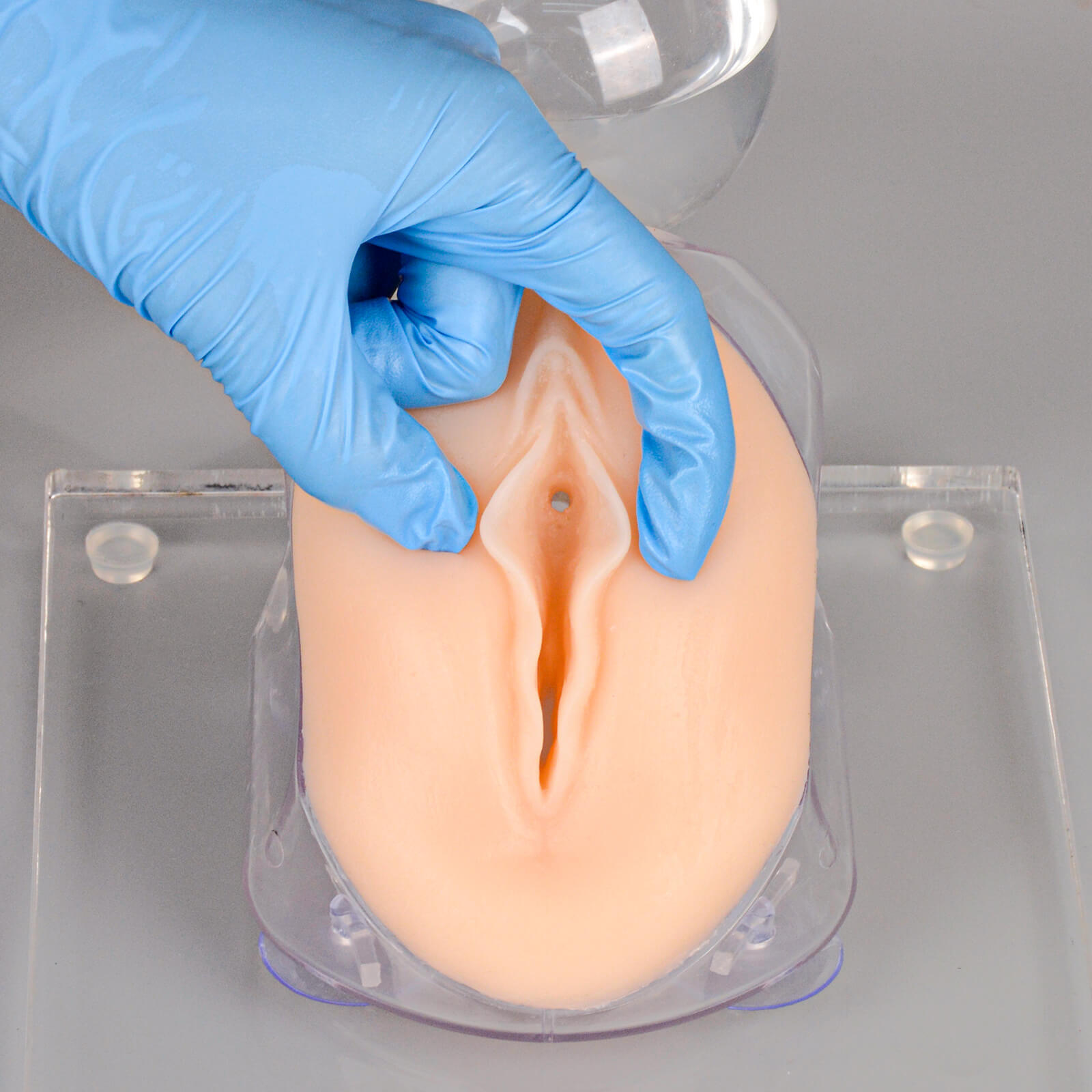 Female Urinary Catheterization Training Kit