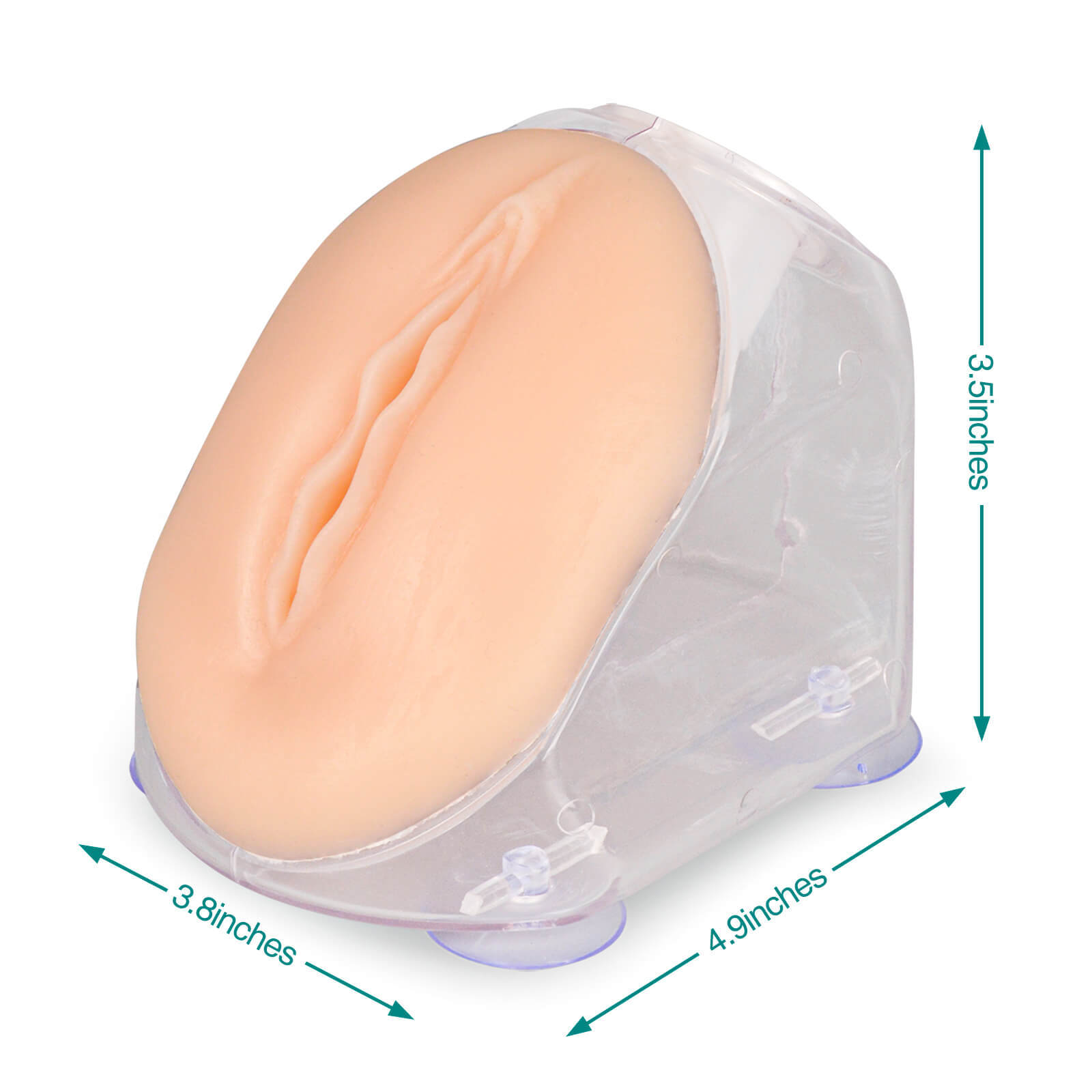 Female Urinary Catheterization Training Kit