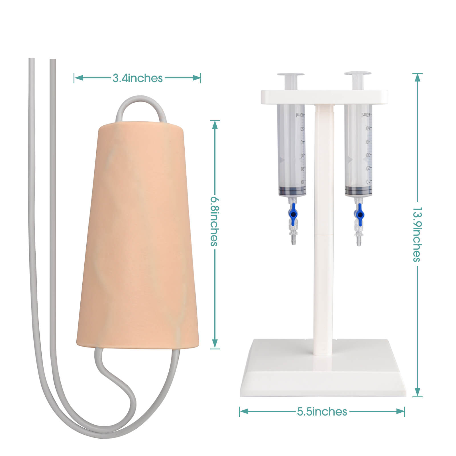 Forearm IV Injection & Phlebotomy Practice Sleeve Size