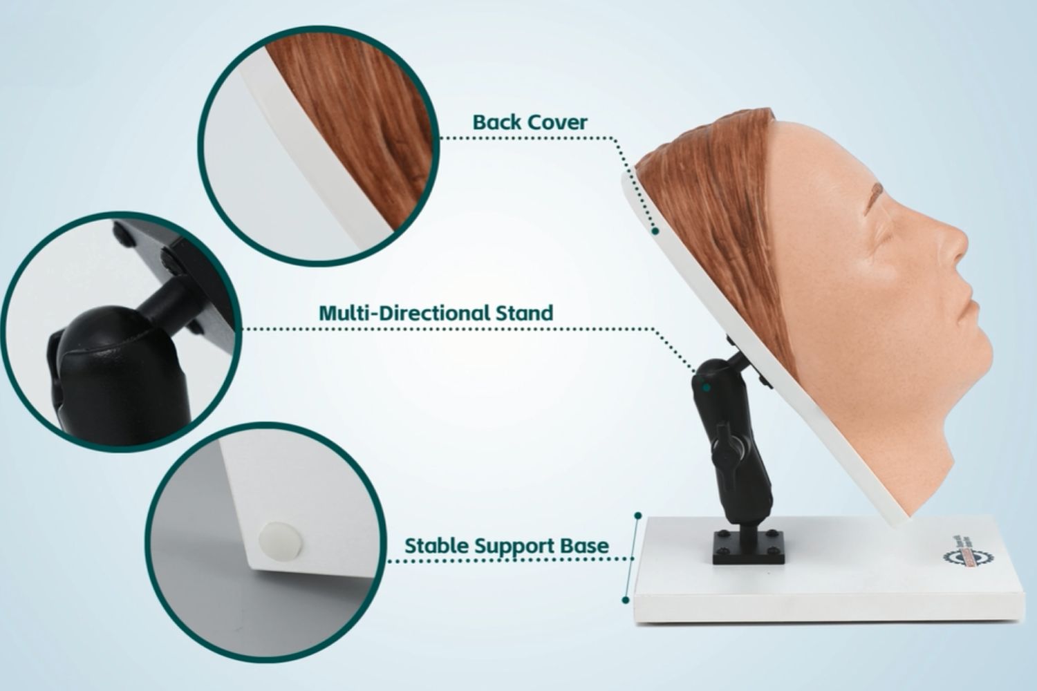 Full Face Injection Demo with the Sara Head Model