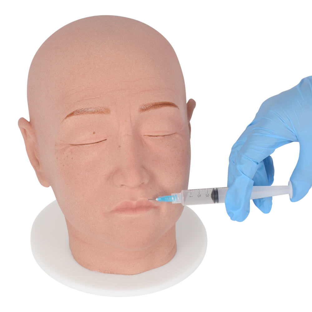 Female Full Head for Facial Injection Training