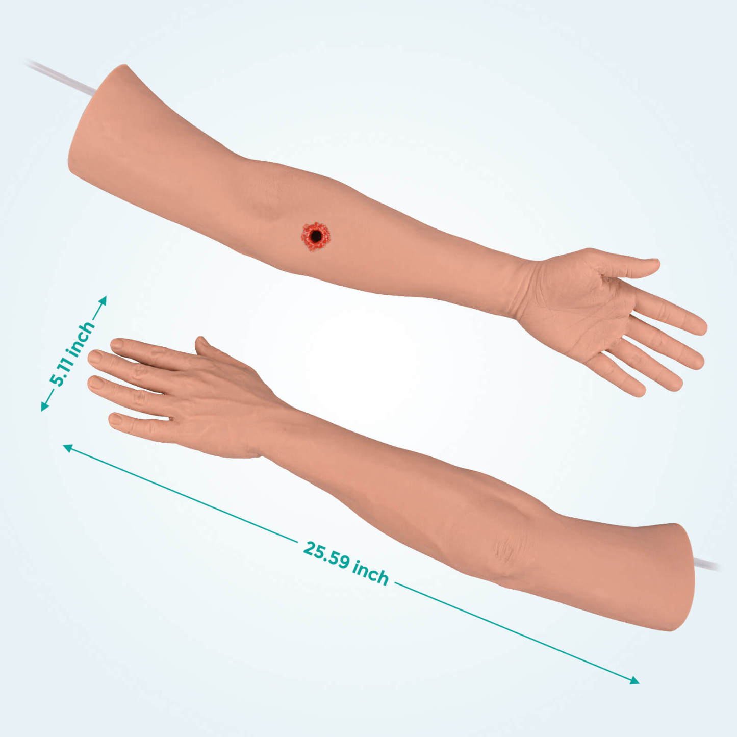 Tourniquet Task Trainer Arm Size
