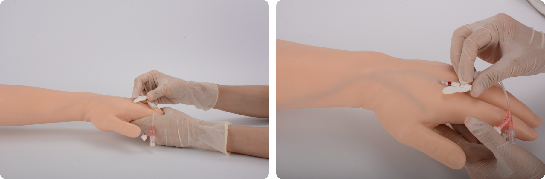 The Guide to Practicing Phlebotomy at Home