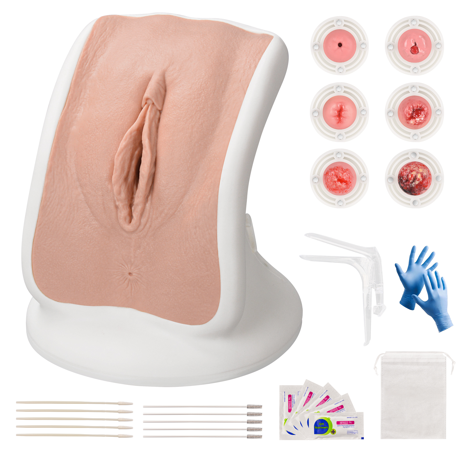 Gynecological Examination Model with 6 Cervical Pathology Replacements