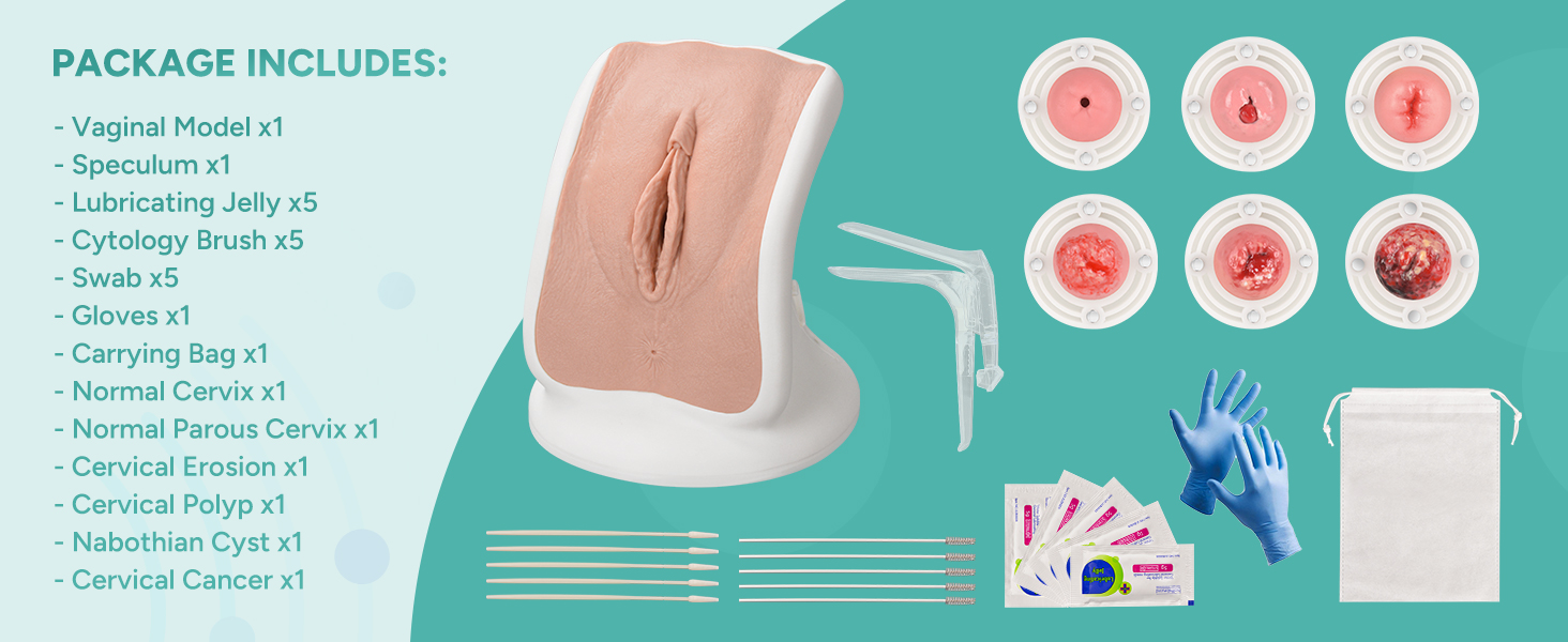 Gynecological Examination Model with 6 Cervical Pathology Replacements