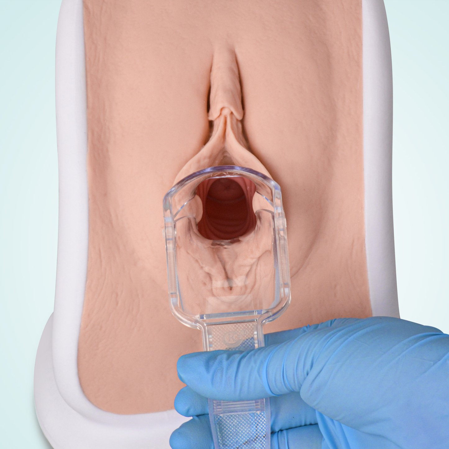 Gynecological Examination Model with 6 Cervical Pathology Replacements