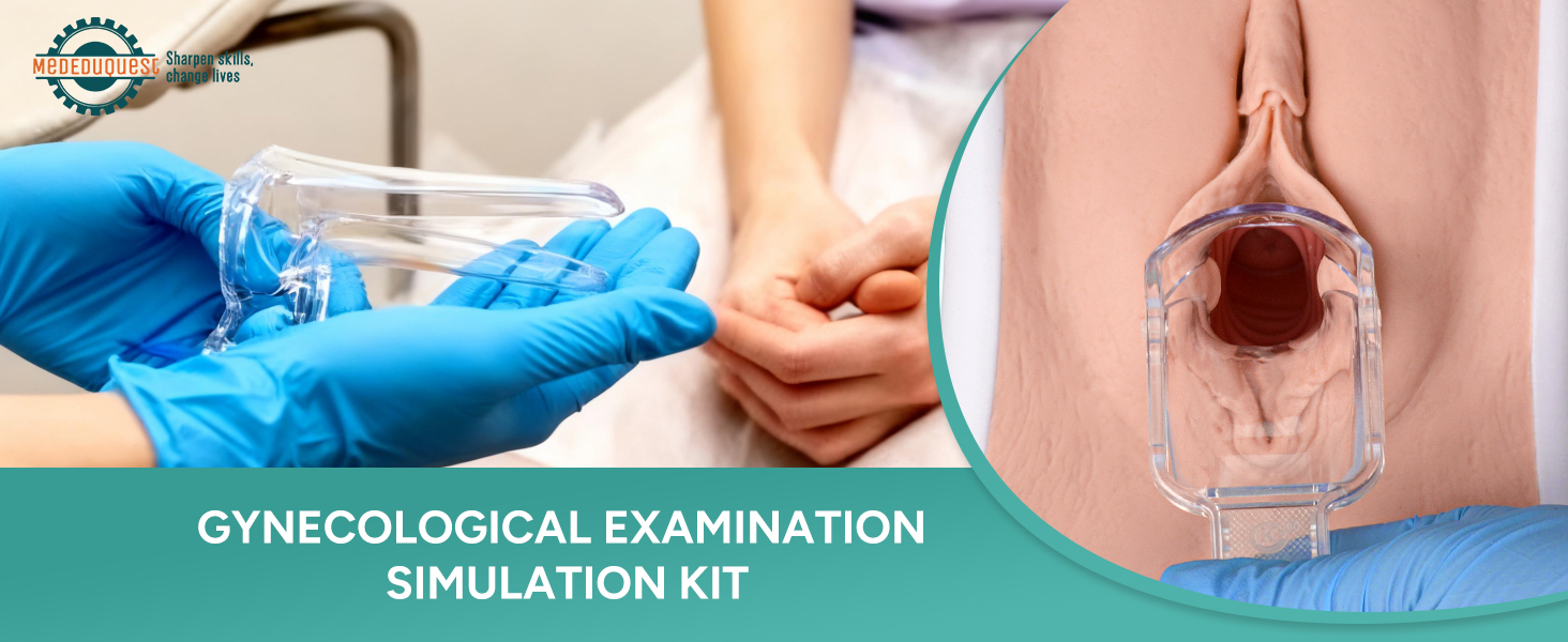 Gynecological Examination Model with 6 Cervical Pathology Replacements