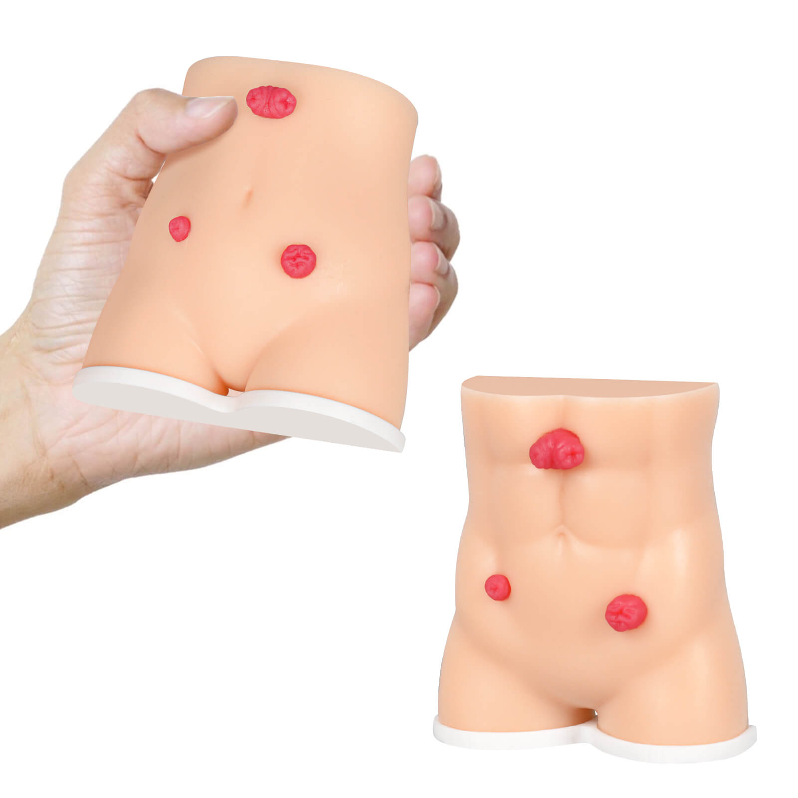 Handheld Stoma Demonstration Model Male and Female Set