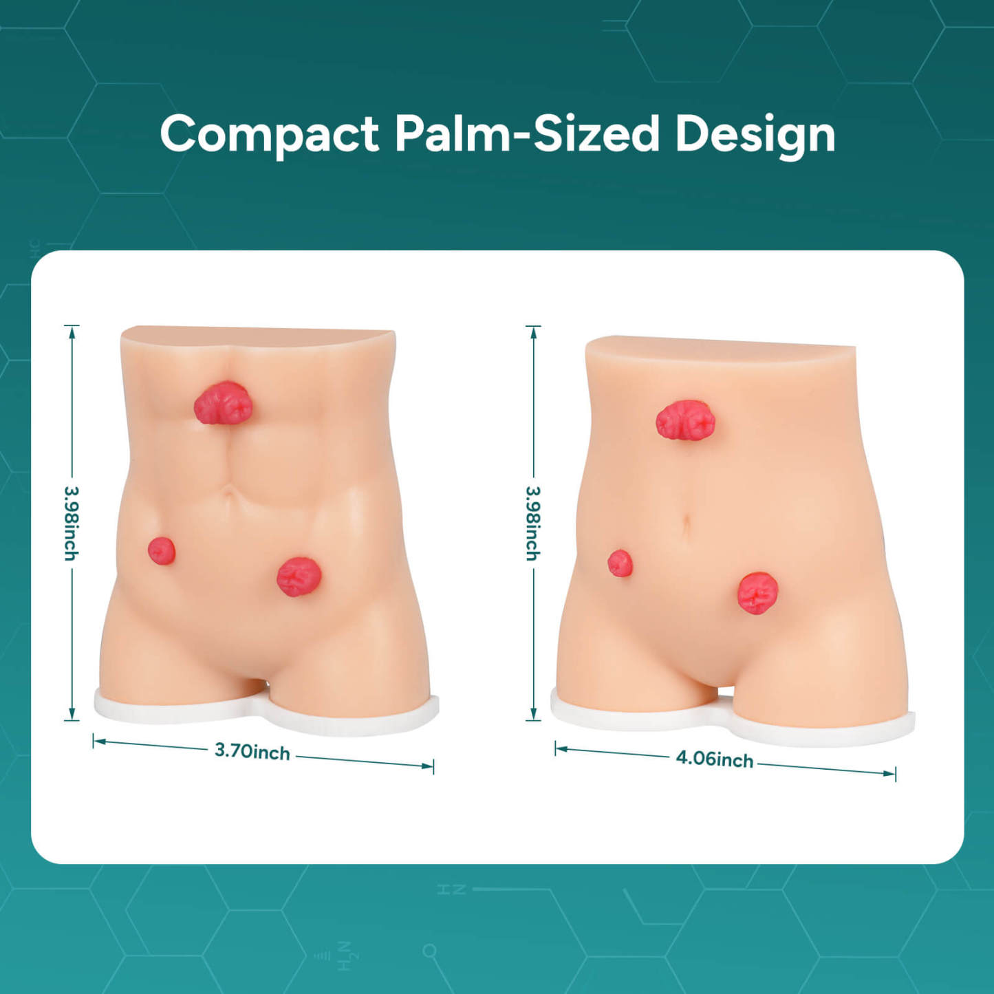 Handheld Stoma Demonstration Model Male and Female Set