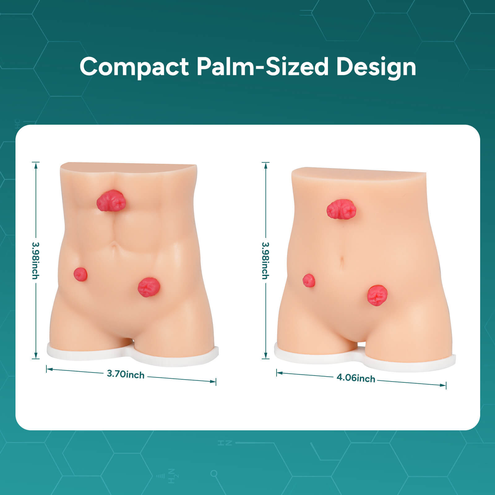 Handheld Stoma Demonstration Model Male and Female Set