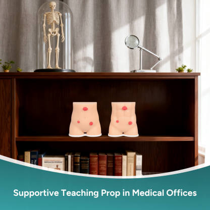 Handheld Stoma Demonstration Model Male and Female Set